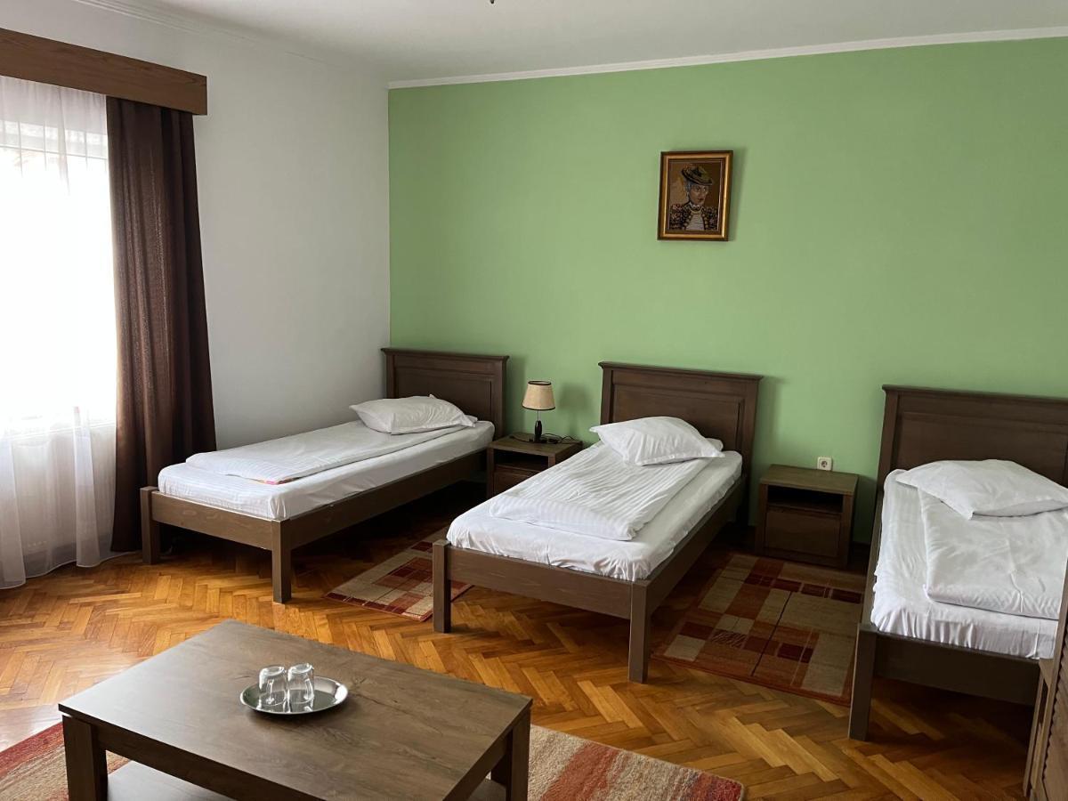 Pensiunea Diana Hotel Făgăraş Buitenkant foto